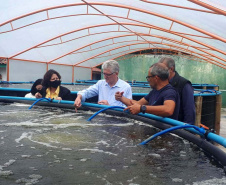 O secretário da Agricultura e do Abastecimento, Norberto Ortigara visita a Villa Peixes, em Curitiba. Foto:SEAB