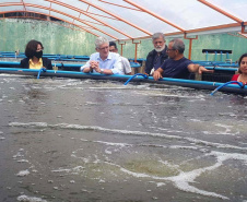 O secretário da Agricultura e do Abastecimento, Norberto Ortigara visita a Villa Peixes, em Curitiba. Foto:SEAB