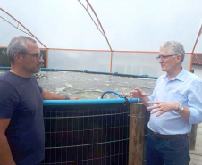 O secretário da Agricultura e do Abastecimento, Norberto Ortigara visita a Villa Peixes, em Curitiba. Foto:SEAB