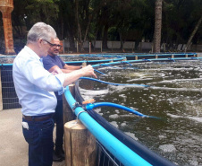 O secretário da Agricultura e do Abastecimento, Norberto Ortigara visita a Villa Peixes, em Curitiba. Foto:SEAB
