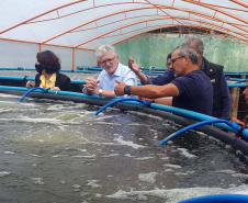O secretário da Agricultura e do Abastecimento, Norberto Ortigara visita a Villa Peixes, em Curitiba. Foto:SEAB