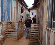 PCPR prende 37 suspeitos e apreende 5 adolescentes por crimes contra o patrimônio