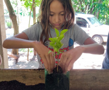O Viveiro Florestal do Instituto Água e Terra (IAT) em Jacarezinho, no Norte Pioneiro do Estado, voltou a recepcionar estudantes pelo projeto de educação ambiental, nesta terça-feira (23). Ao todo, 34 alunos dos 4º e 5º anos do ensino fundamental da Escola Municipal Professora Ruth Pimentel Rocha tiveram a experiência de um dia no campo com atividades diferenciadas. - Jacarezinho, 23/11/2021 - Foto: IAT