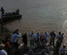 No Dia do Rio, Paraná celebra avanços no repovoamento dos rios e recuperação de nascentes. Foto: Denis Ferreira Netto