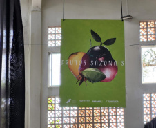 Em seis salas de oficinas, no município de Morretes, o projeto piloto VRS Mata Atlântica reuniu, nesta quinta e sexta-feira (25 e 26), mais de 50 produtores rurais e representantes de pupunha, banana, mandioca, juçara, frutos sazonais do Litoral, e operadores e prestadores de serviços do turismo. Eles são representantes dos municípios de Guaraqueçaba, Morretes e Antonina. - Antonina, 26/11/2021 - Foto: Investe Paraná