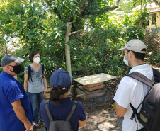 Portos do Paraná apresenta projeto de implantação de composteira a professores na Ilha do Mel