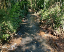 Rio Girau Alto, em Dois Vizinhos, teve queda de 35% na vazão