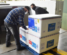 Estado recebe mais 240 mil vacinas contra a Covid-19