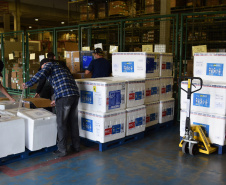 Estado recebe mais 240 mil vacinas contra a Covid-19