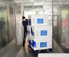 Estado recebe mais 240 mil vacinas contra a Covid-19
