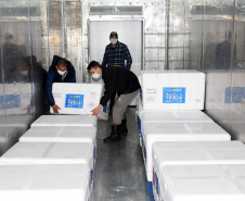 Estado recebe mais 240 mil vacinas contra a Covid-19