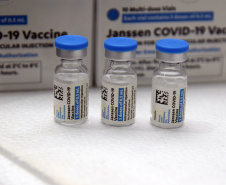 Estado recebe mais 240 mil vacinas contra a Covid-19