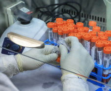Pesquisadores desenvolvem programa capaz de identificar novos genes