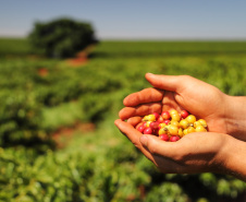 Deral lança Diagnóstico Agropecuário do Paraná