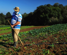 Programas garantem produção, qualidade dos alimentos e melhorias no transporte