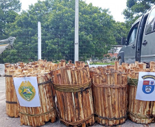 Batalhão Ambiental emite mais de 3,4 mil autuações e aplica mais de R$ 60,2 milhões em multas por crimes ambientais em 2021