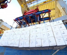 90% da receita de exportações dos Portos do Paraná são produtos do Agro