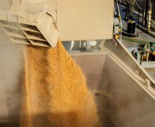 90% da receita de exportações dos Portos do Paraná são produtos do Agro