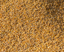 90% da receita de exportações dos Portos do Paraná são produtos do Agro