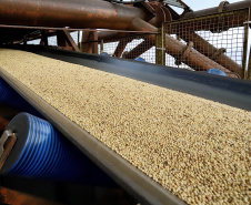 90% da receita de exportações dos Portos do Paraná são produtos do Agro