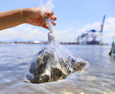 Portos do Paraná é exemplo no Brasil e no mundo em desenvolvimento ambiental 