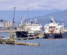 Porto de Paranaguá é líder nacional na exportação de óleo soja