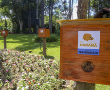 PARANÁ POLINIZA