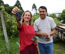 PRODUTORES ORGÂNICOS DA GRANDE CURITIBA CONTAM COM CERTIFICAÇÃO PELO TECPAR