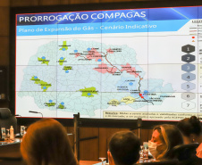 Audiencia Publica 