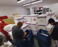 Paraná recebe 914 mil vacinas contra a Covid-19 e mais 294 mil Pfizer devem chegar ainda hoje
