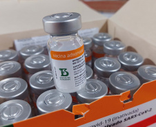 Paraná recebe 914 mil vacinas contra a Covid-19 e mais 294 mil Pfizer devem chegar ainda hoje