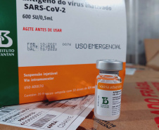 Paraná recebe 914 mil vacinas contra a Covid-19 e mais 294 mil Pfizer devem chegar ainda hoje