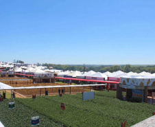 No Show Rural, Sistema Estadual da Agricultura destaca oportunidades para inovação e sustentabilidade