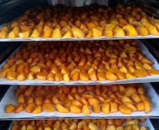Caqui desidratado é alternativa para produtor aumentar ganho com a fruta