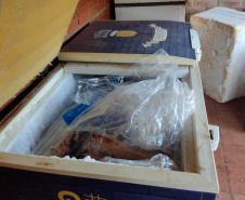 Cumprimento a denúncia sobre comercialização ilegal de peixes nativos - Curitiba, 17/02/2022