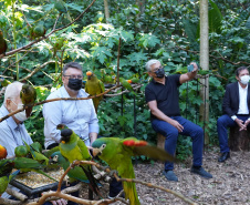 Diretores do BRDE, prefeito de Foz e parceiros visitam Parque das Aves e discutem fomento ao turismo