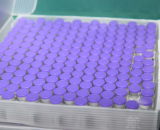 Mais de 294 mil vacinas da Pfizer contra a Covid -19 chegaram ao Estado nesta quinta