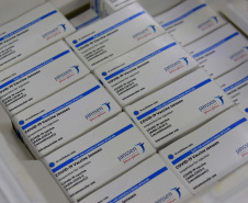 Mais 354 mil vacinas contra Covid-19 para dose de reforço chegam ao Paraná