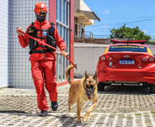 SAÍDA BOMBEIROS PARA PETRÓPOLIS