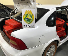 Mais de meia tonelada de maconha é apreendida pelo BPFRON no Oeste do estado
