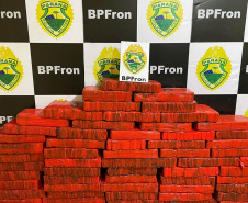 Mais de meia tonelada de maconha é apreendida pelo BPFRON no Oeste do estado