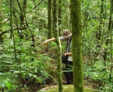 IAT interdita trilha do Parque Estadual Salto São Francisco da Esperança