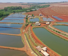Paraná produziu 9,3% a mais de peixes em 2021 confirmando liderança nacional