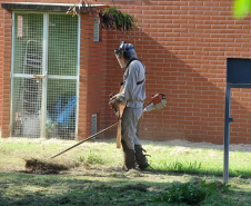 Grupo de Vigilância e PCU investem em ações contra o mosquito da dengue no Campus