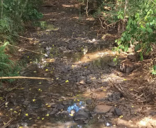 Seca continua severa no Sudoeste e agrava abastecimento em cidades da região