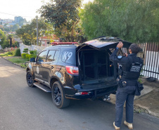 PCPR prende sete integrantes de organização criminosa ligada ao tráfico de drogas em Guarapuava