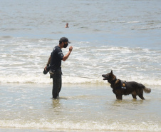 Cães policiais da Polícia Civil interagem com a sociedade no Litoral