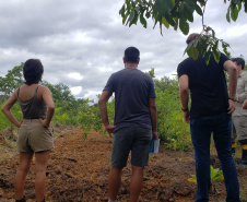 UFPR/PRAD-Portos do Paraná