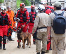 Bombeiros do Paraná concluem participação nas buscas por vítimas em Petrópolis