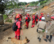Bombeiros do Paraná concluem participação nas buscas por vítimas em Petrópolis